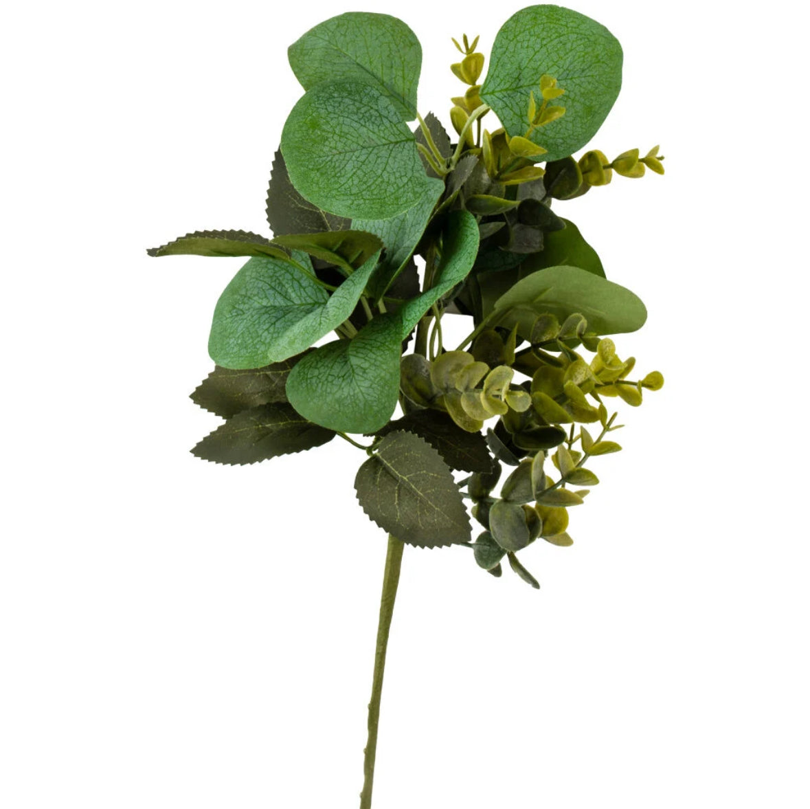 Sprig of Eucalyptus & rose