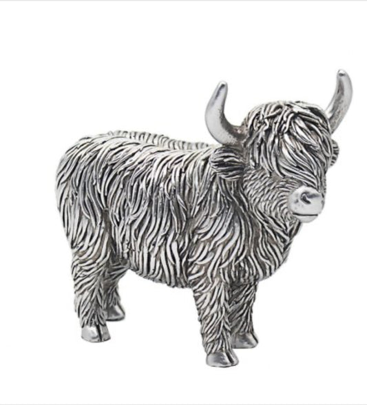 Silvered Highland Cow