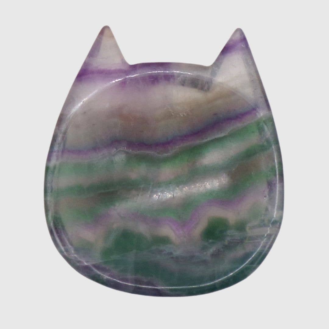 Polished Fluorite Cat Bowl (86mm)