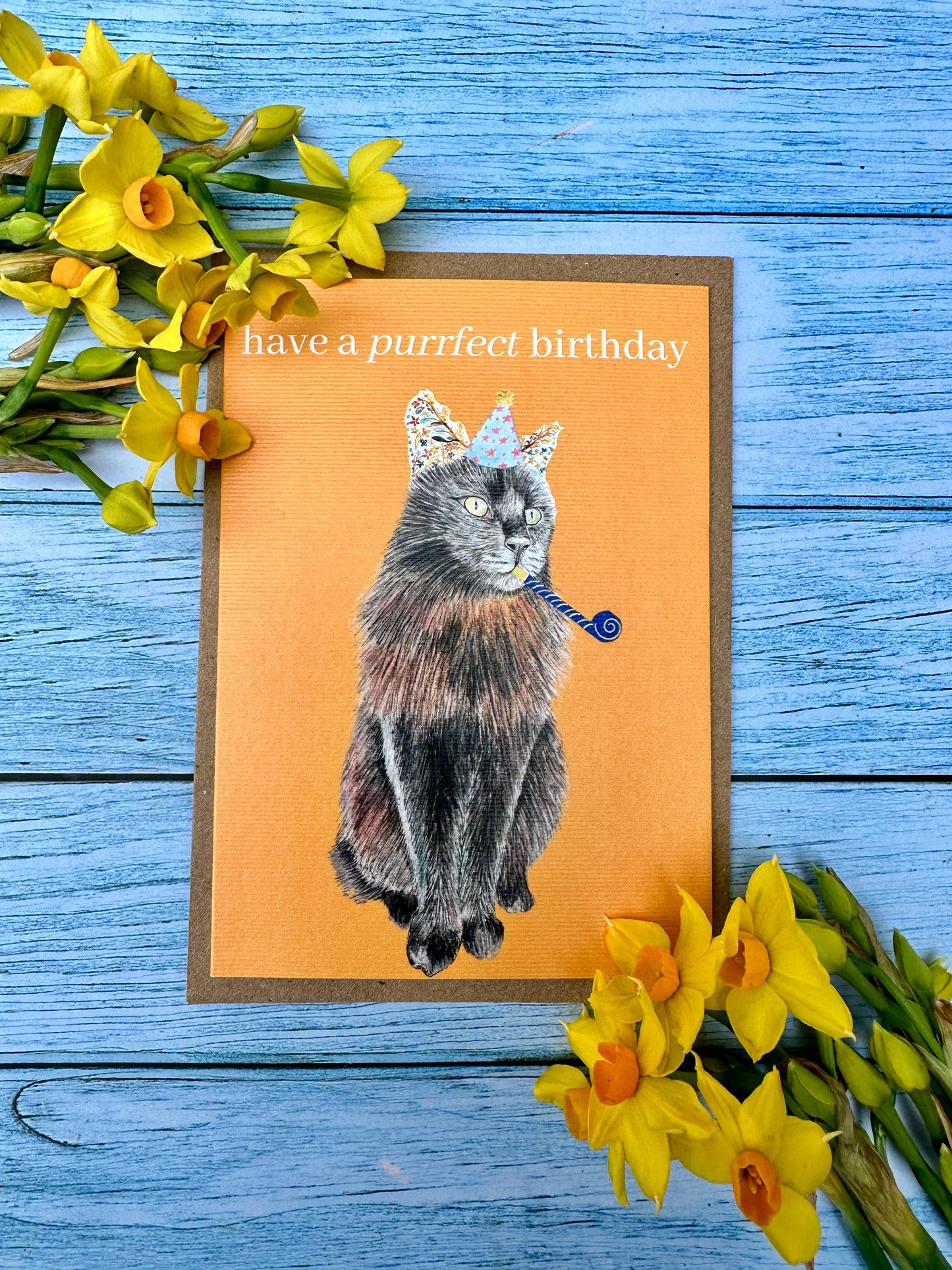 Purrfect Cat Birthday | Eco Friendly Card Cute Colourful: NAKED