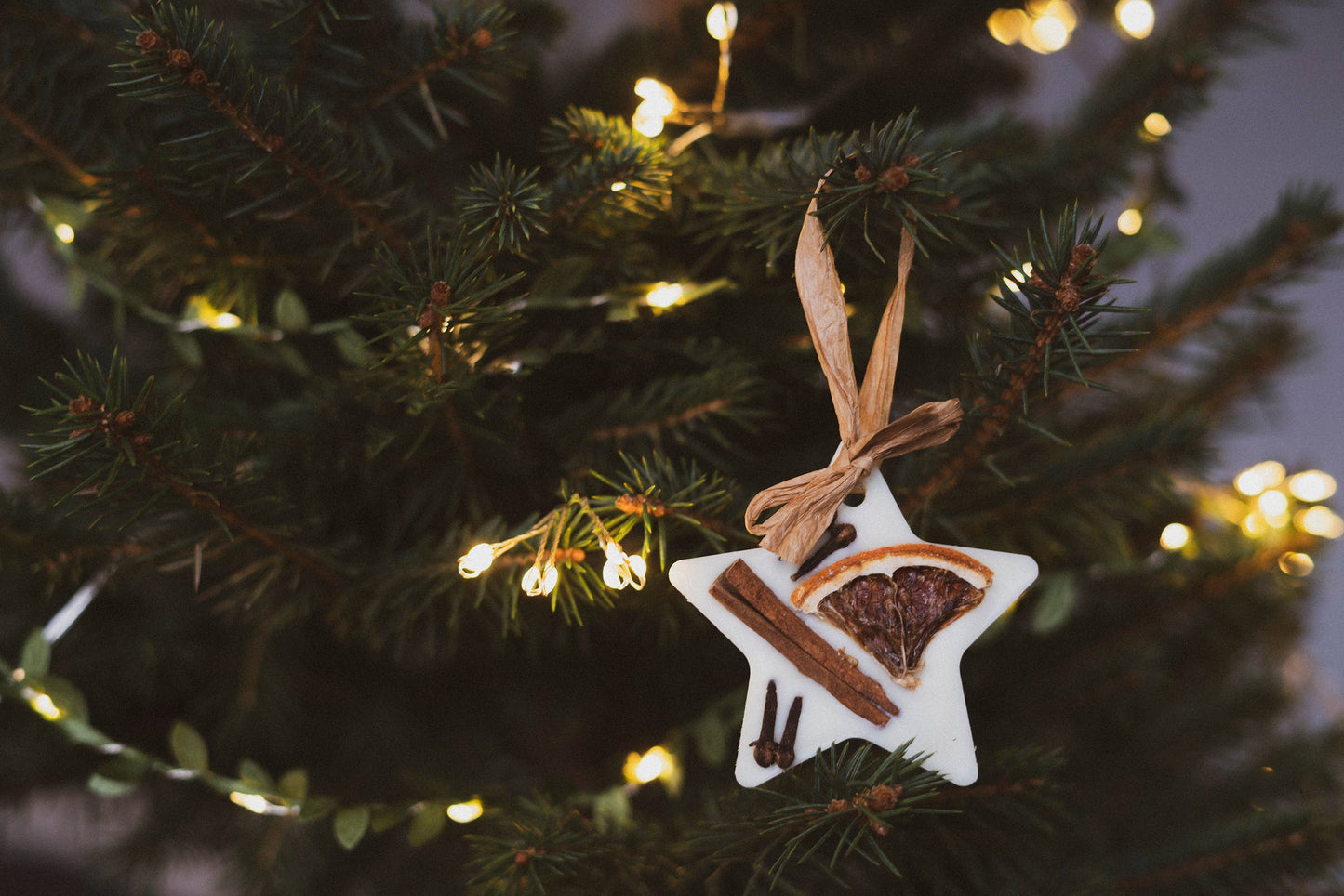 Christmas Scented Tree Decorations: Christmas Tree / Circle