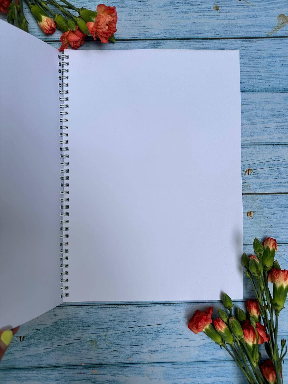 Highland Cow Funny Eco Friendly A4 Notebook UK Made Notepad