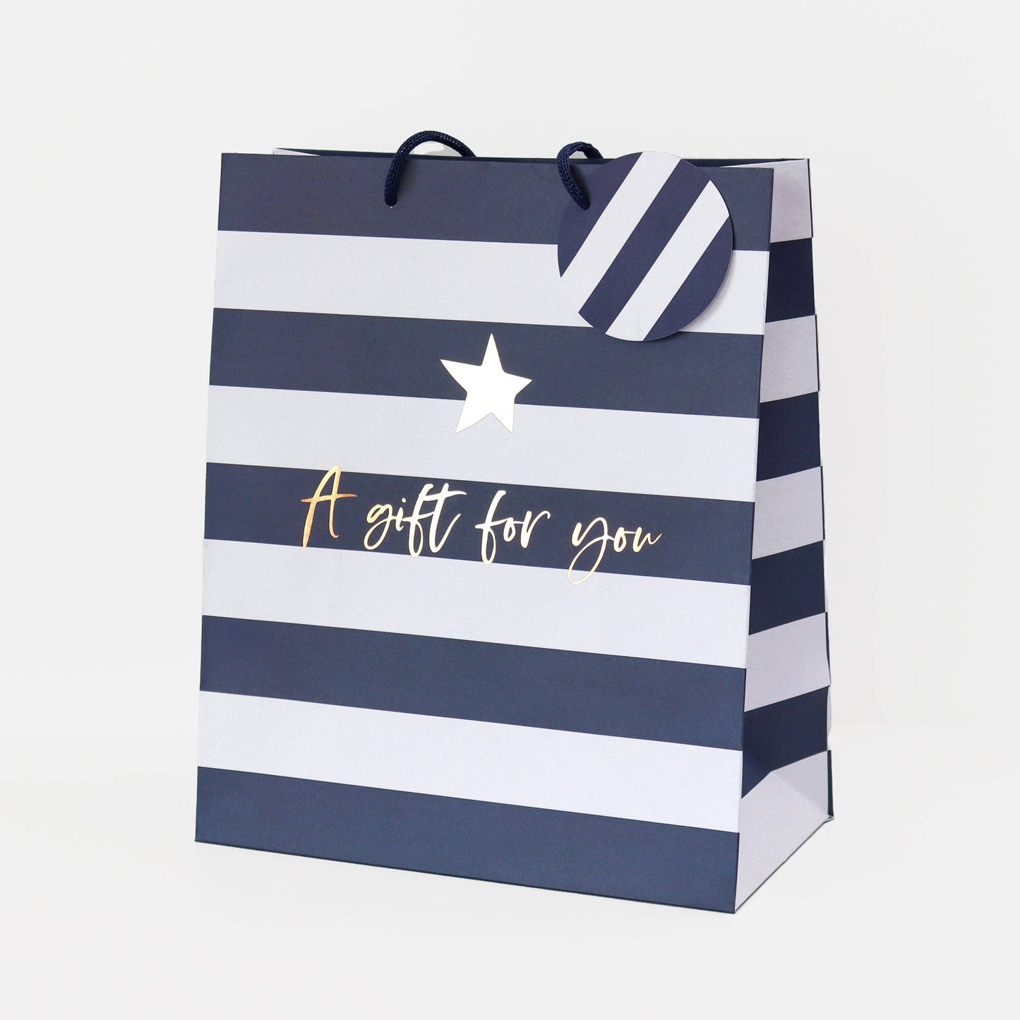 Blue Stripe Portrait Gift Bag
