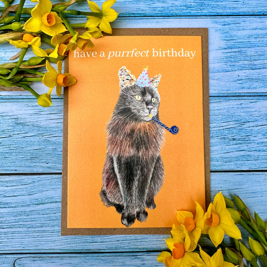 Purrfect Cat Birthday |  Eco Friendly Card  Cute Colourful: NAKED