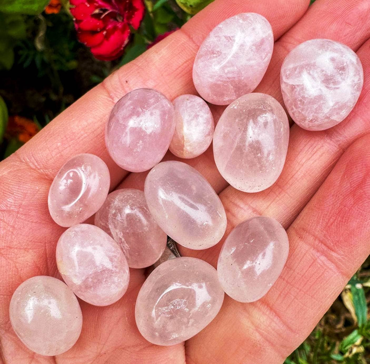 Rose Quartz mini tumble 1-2cm pink quartz tumbles Love stone