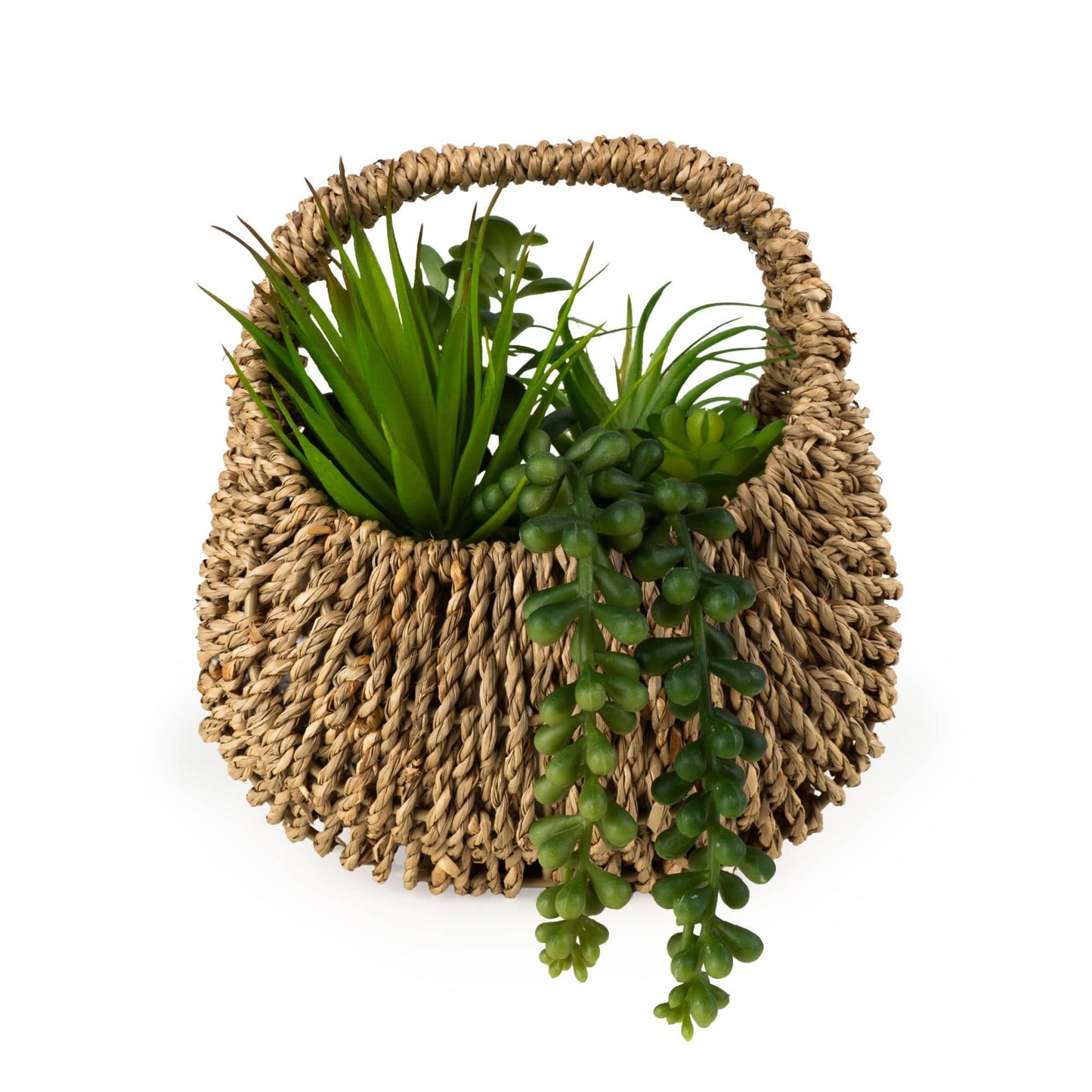 20cm Succulent in Handbag Basket
