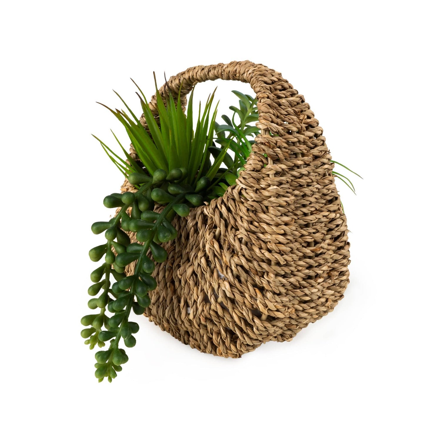 20cm Succulent in Handbag Basket