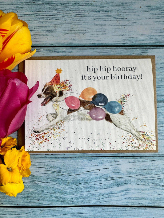 Birthday Spaniel |  Eco Friendly Card  Cute Colourful Dog: NAKED