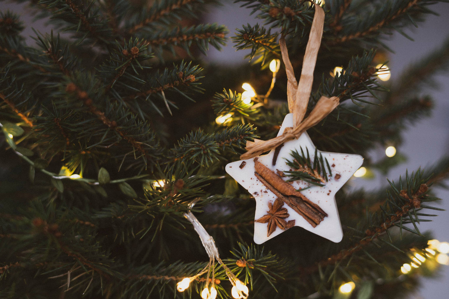 Christmas Scented Tree Decorations: Christmas Tree / Circle