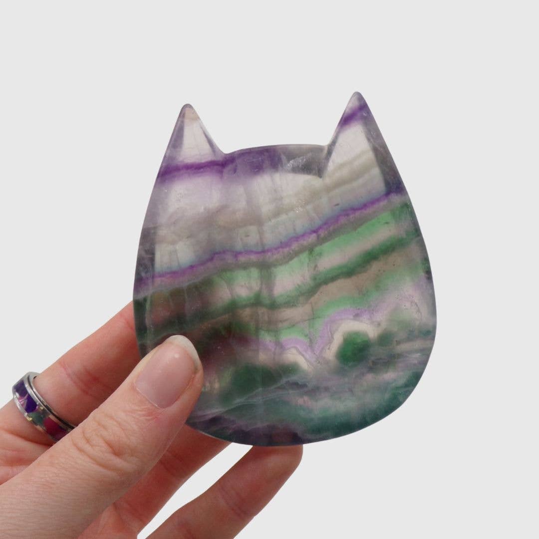 Polished Fluorite Cat Bowl (86mm)