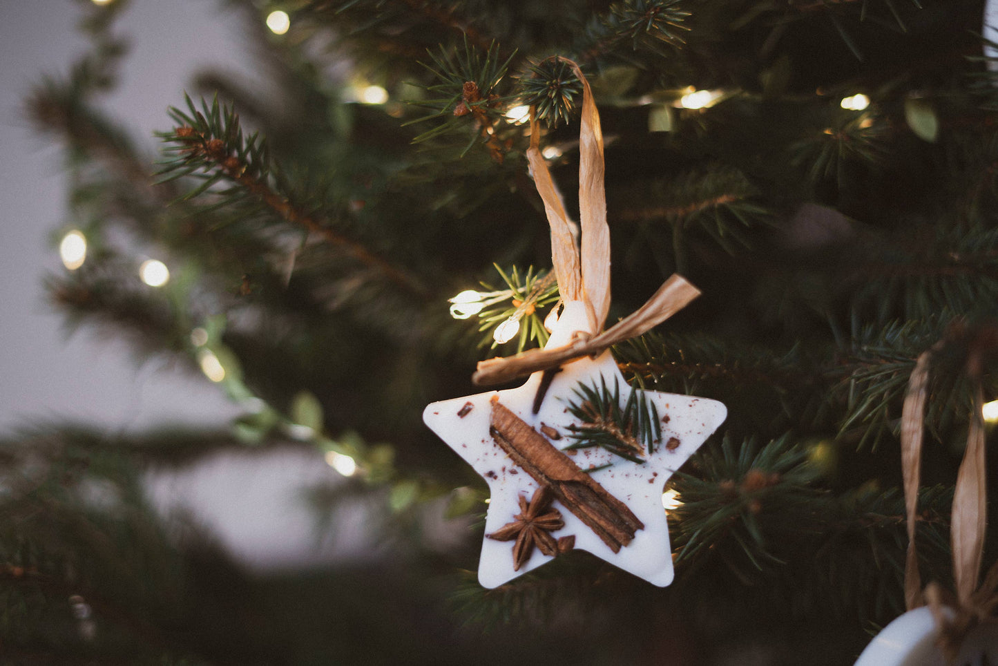Christmas Scented Tree Decorations: Christmas Tree / Circle