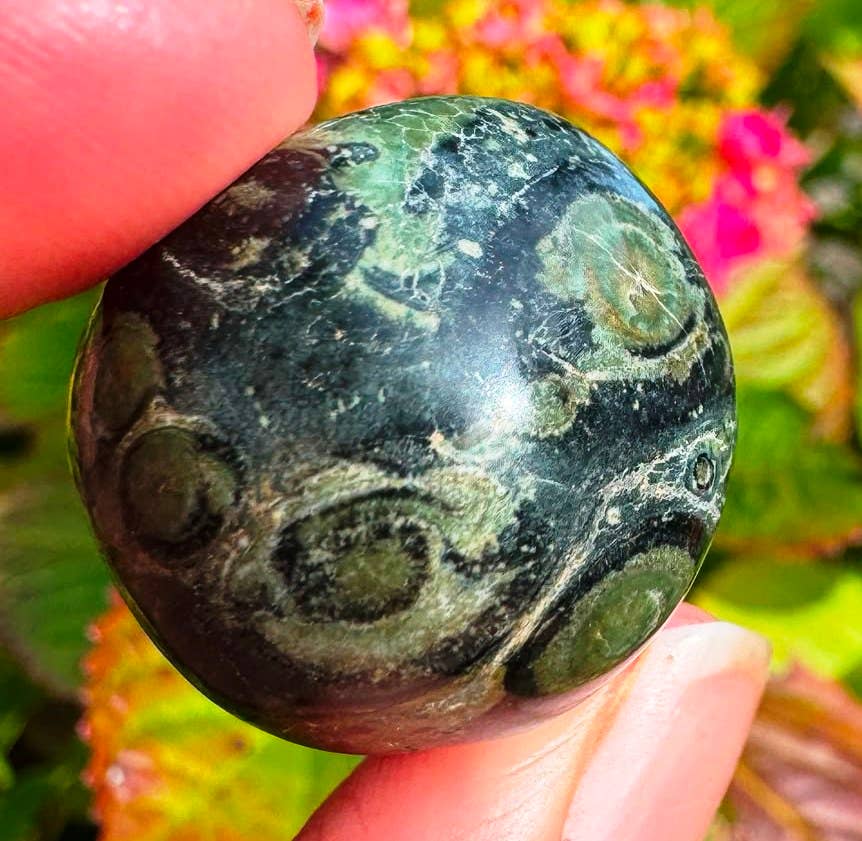 Kambaba jasper tumble