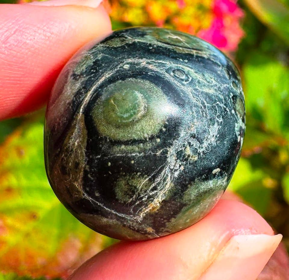 Kambaba jasper tumble