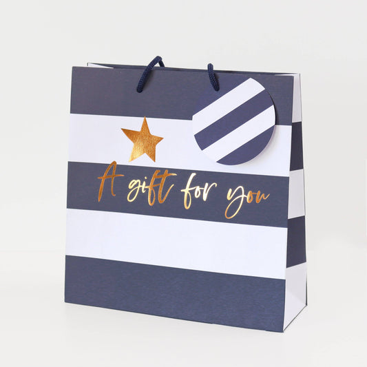 Blue Stripe Medium Gift Bag