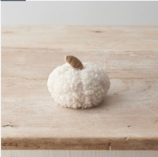 White Sherpa Pumpkin